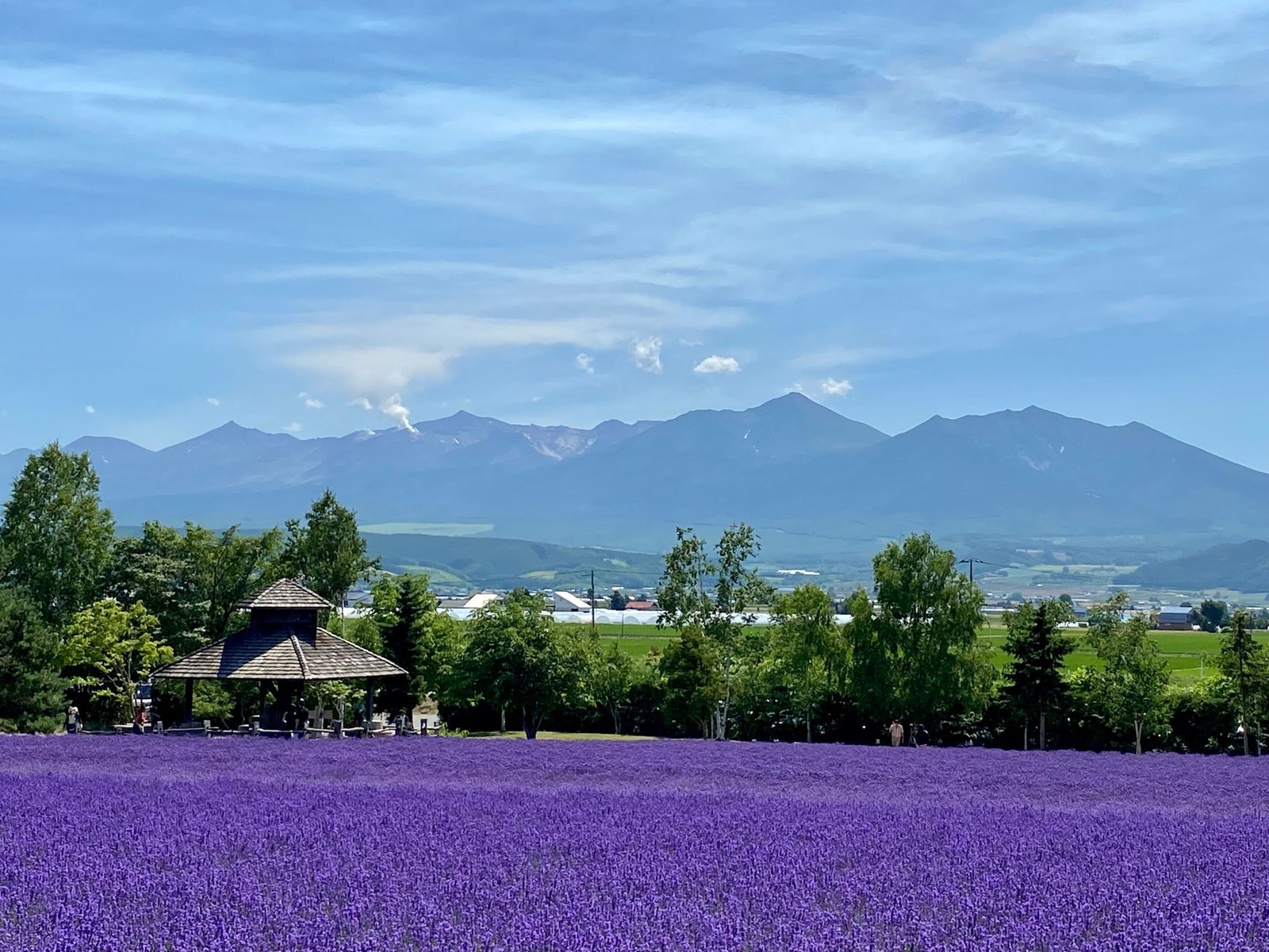 Lavendelvelden in Nakafurano op Hokkaido