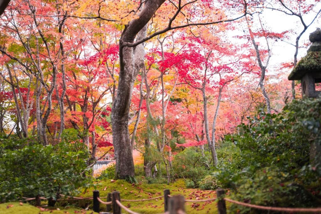 Herfstkleuren in een tuin in Kyoto