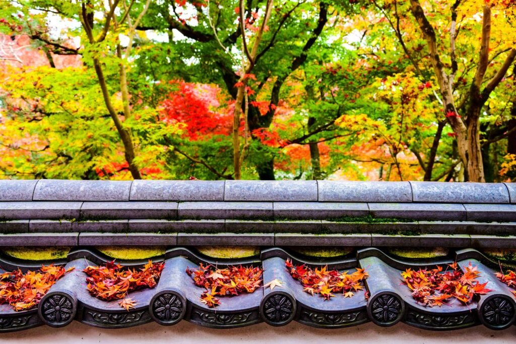 Herfstbladeren op een tempeldak in Japan