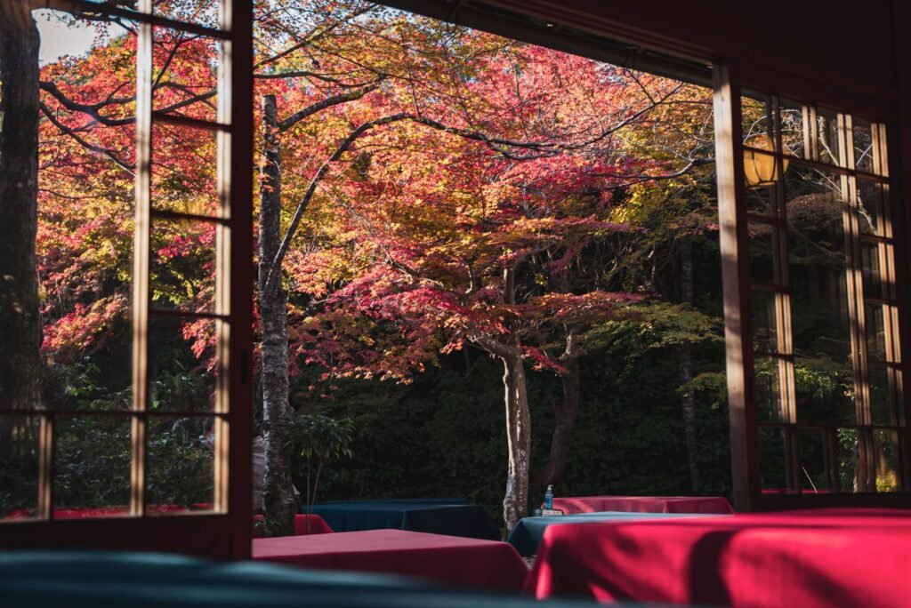Herfstkleuren door een houten raam in Japan