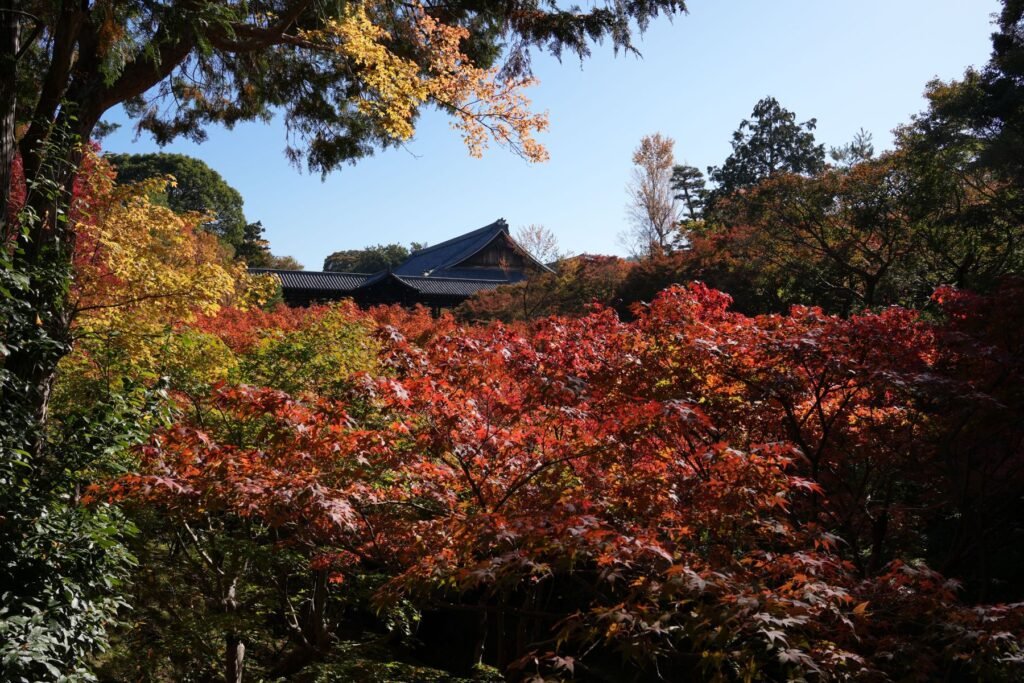 Tempel tussen herfstbladeren in Kyoto
