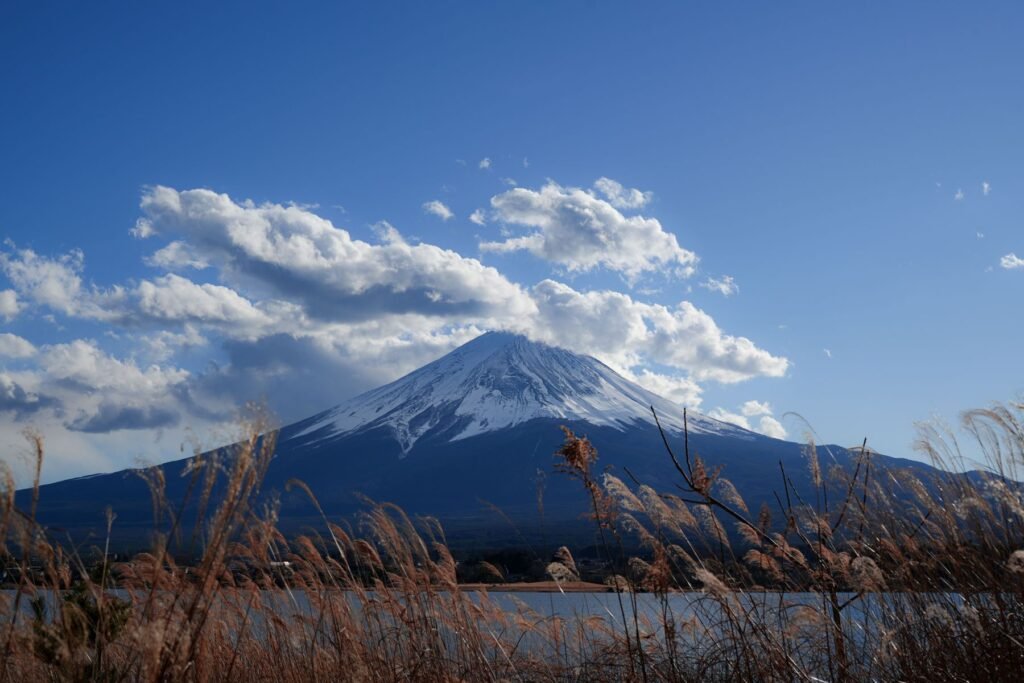 Mount Fuji boven een meer met riet