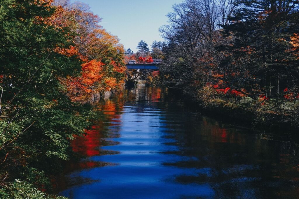 Rivier met herfstbomen bij Nikko