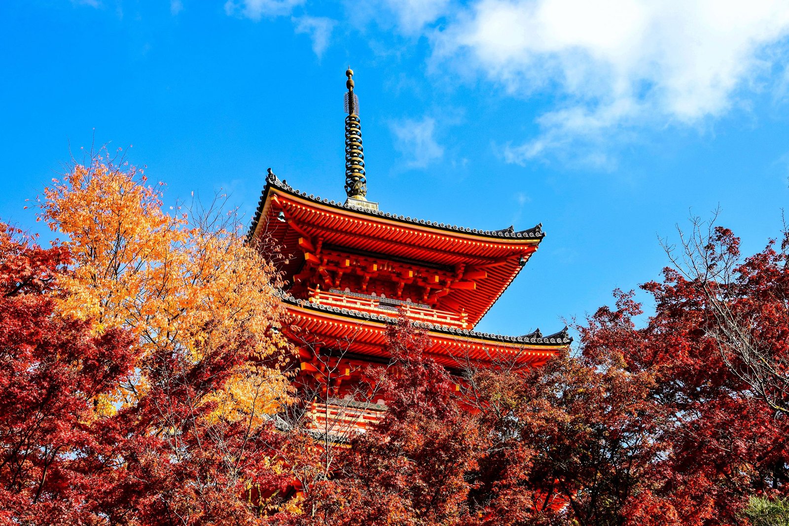 Kiyomizu-dera tussen de herfstkleuren in Kyoto