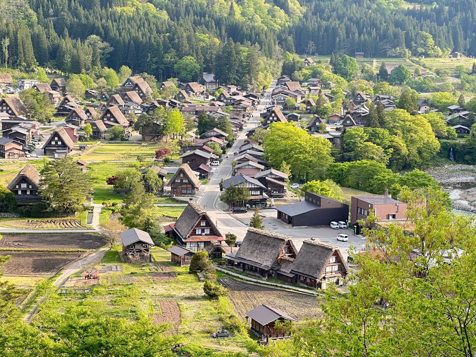 Het dorp Shirakawa-go met gassho-huizen in het groen