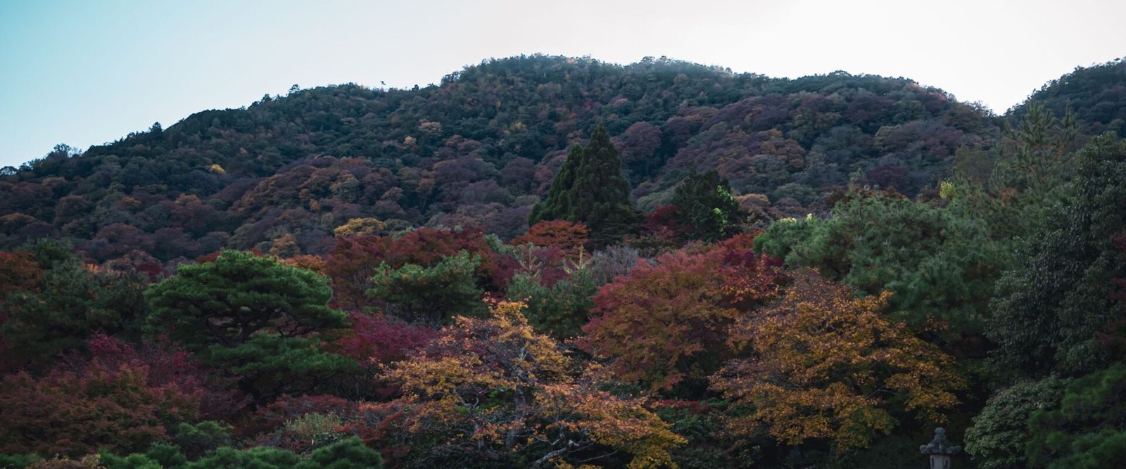 Tuin in Kyoto in de herfst