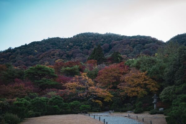 Tuin in Kyoto in de herfst