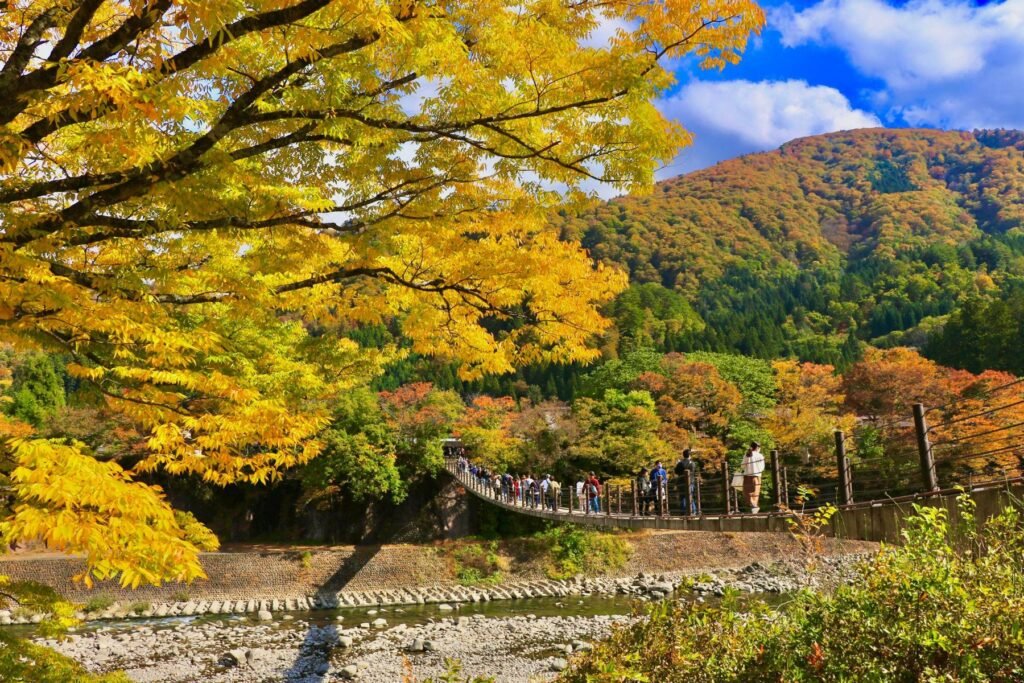 Voetbrug tussen herfstkleuren in Japan