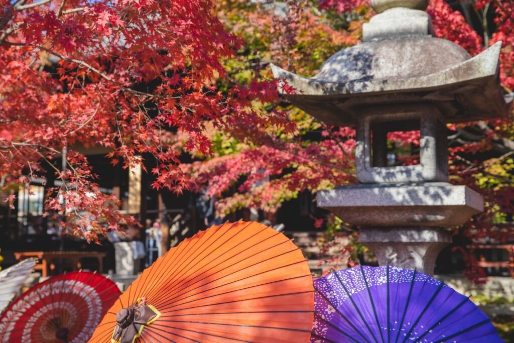 Stenen lantaarn tussen esdoorns in een Japanse tuin