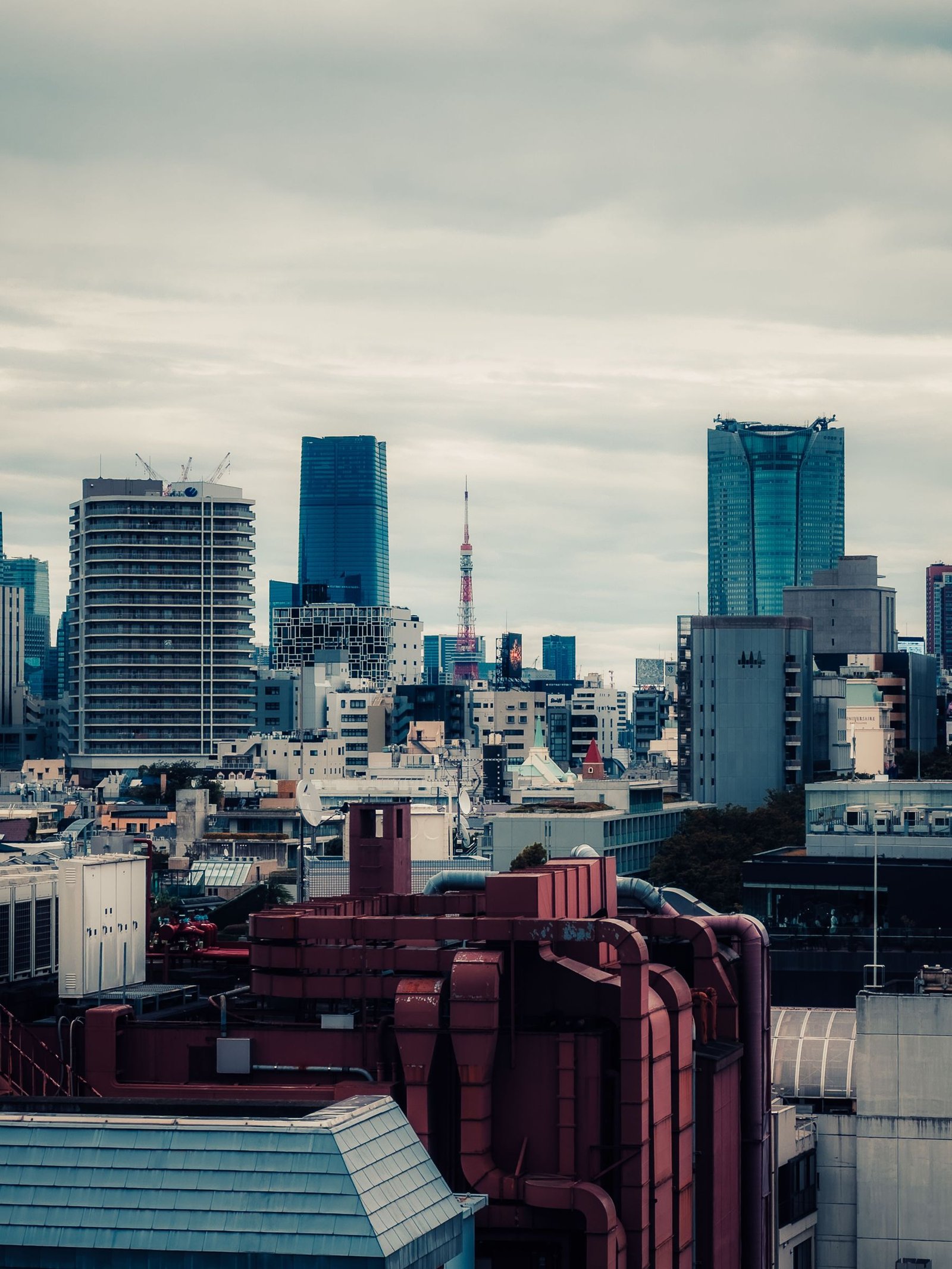 Visum Japan: heb je een visum nodig? JESTA, Visit Japan Web en langer blijven