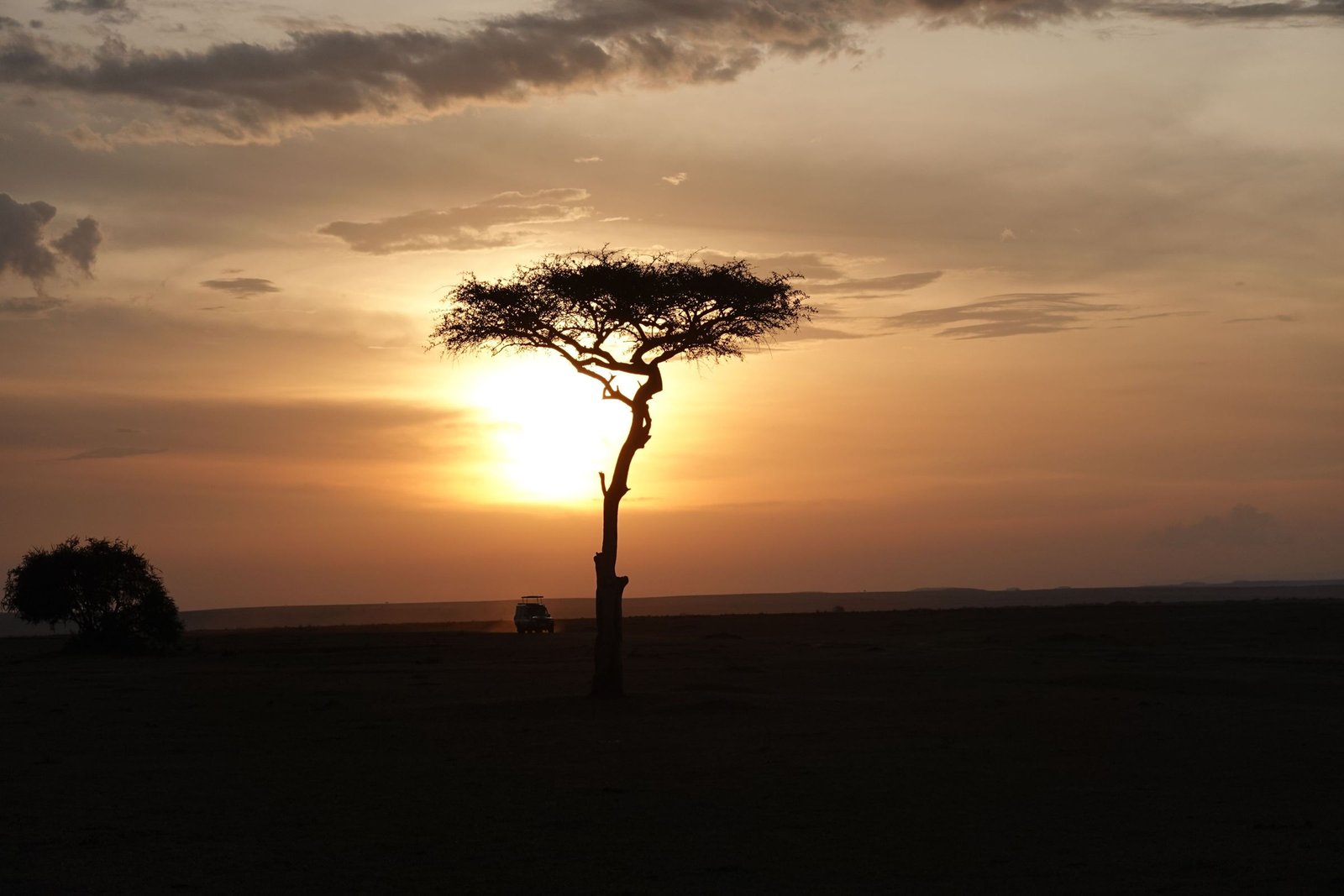 Acacia bij zonsondergang op de Keniaanse savanne