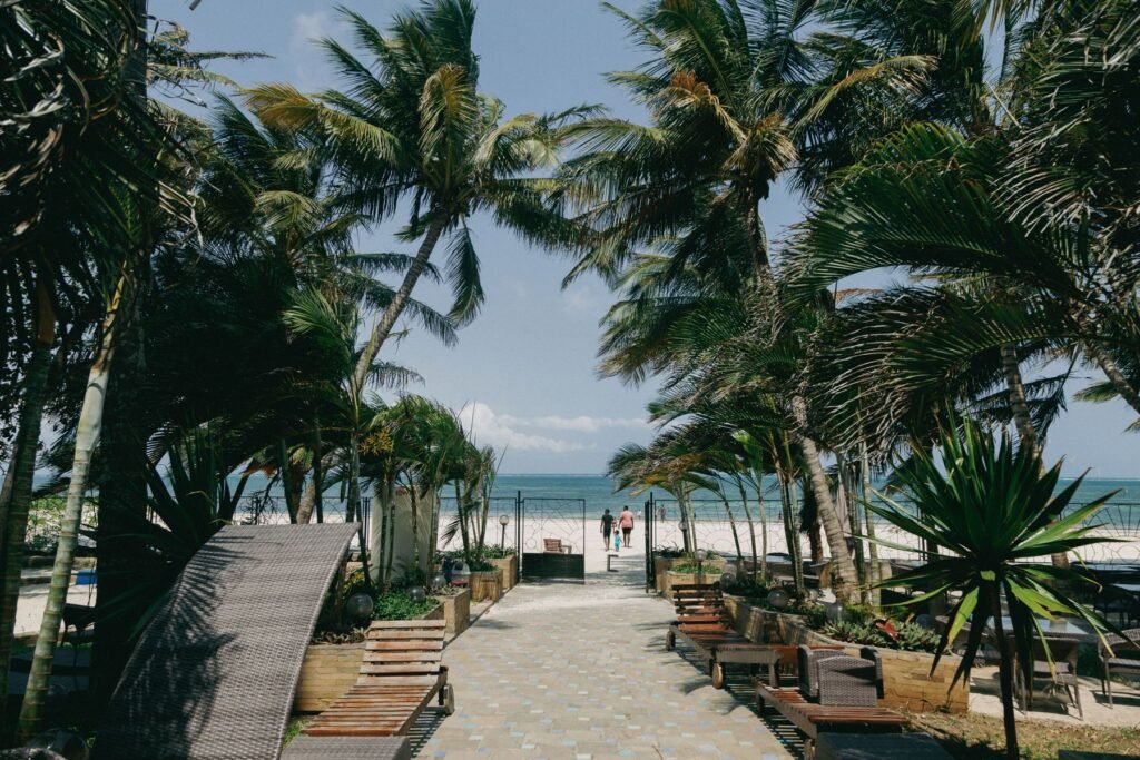 Waterkant met palmen in Mombasa