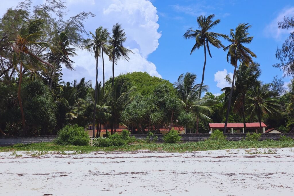 Strand met palmen bij Mombasa