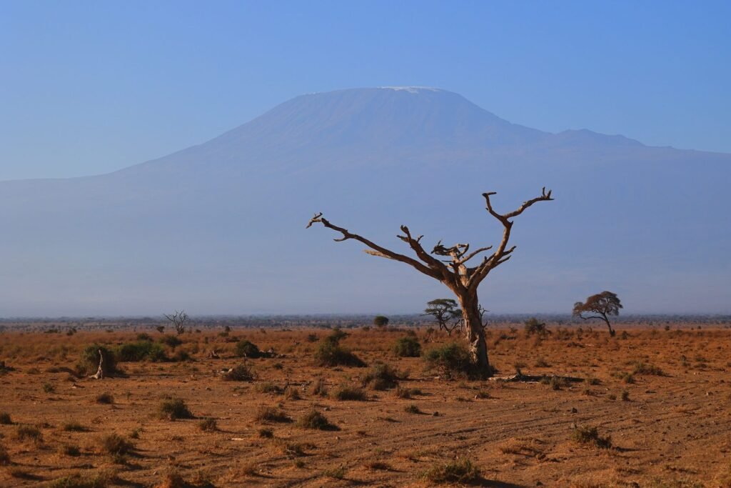 Droog landschap in Kajiado met de Kilimanjaro op de achtergrond