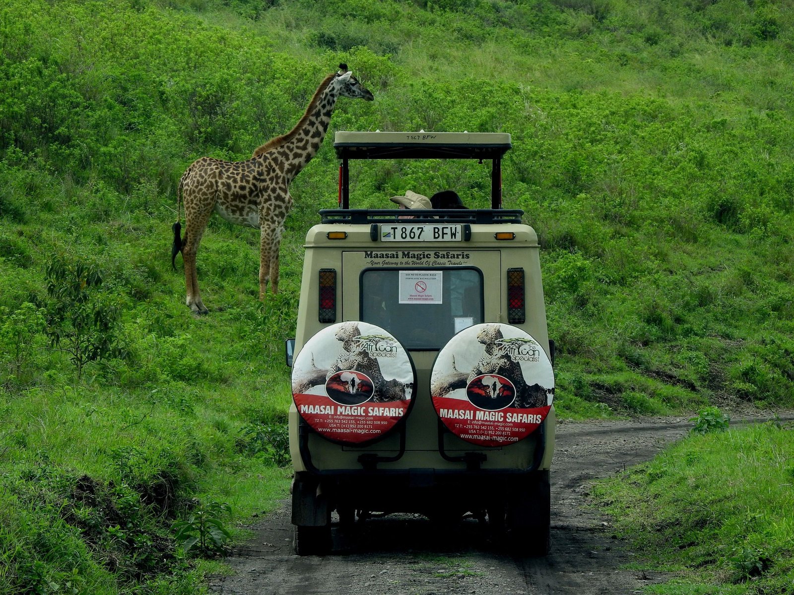 Safarijeep met een giraffe
