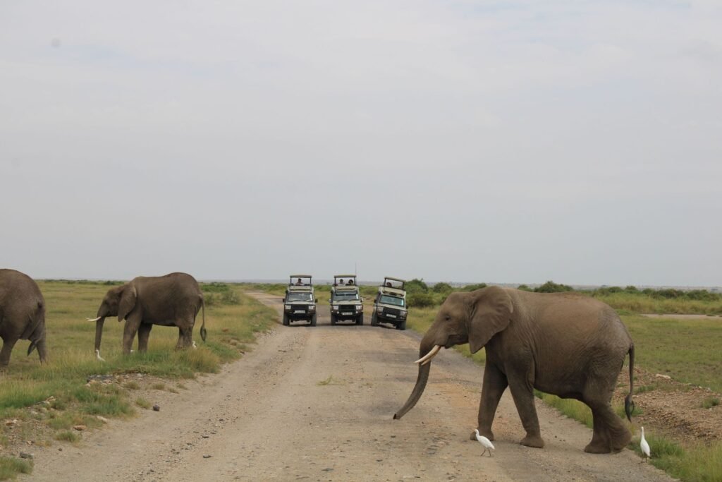 Safarijeeps op afstand van een olifant