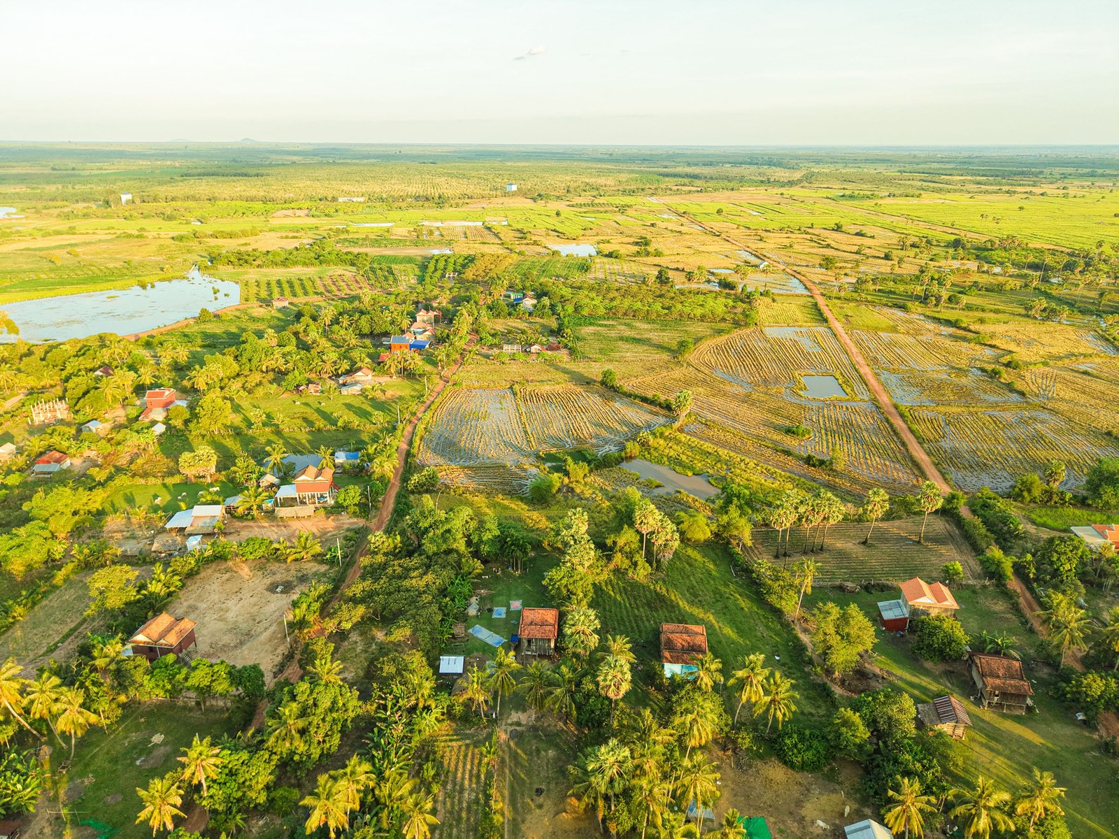 Groen platteland in Cambodja van bovenaf