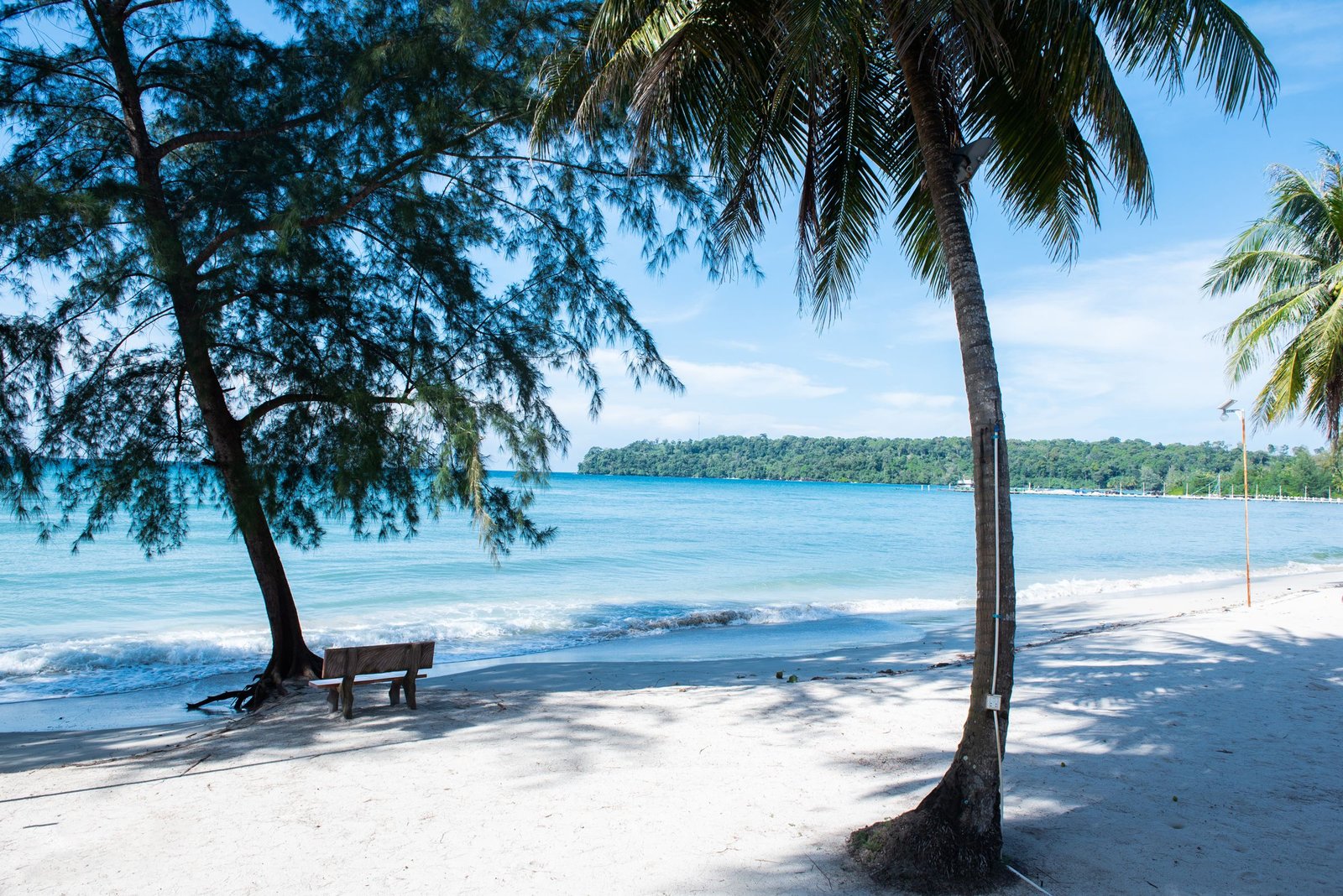 Strand met palmbomen