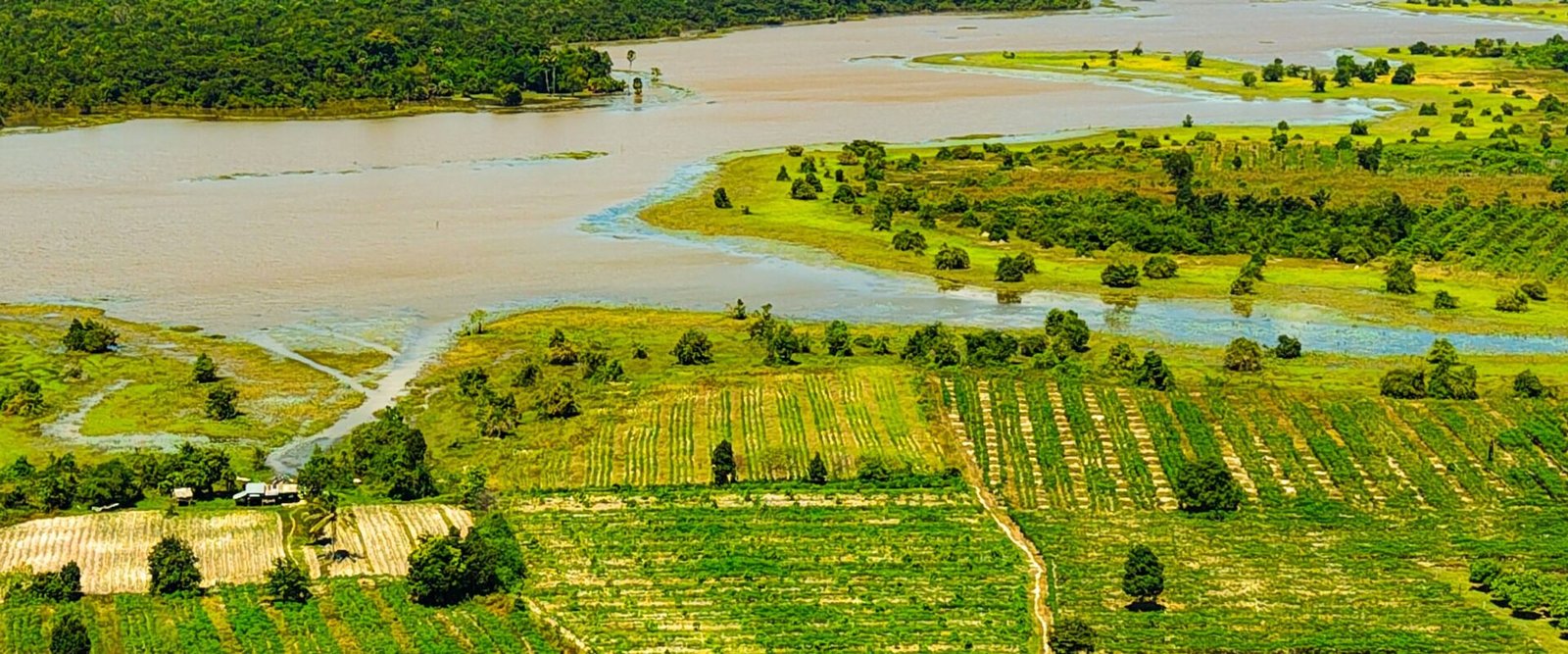 Rivier en velden in Cambodja