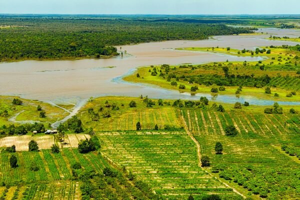Rivier en velden in Cambodja