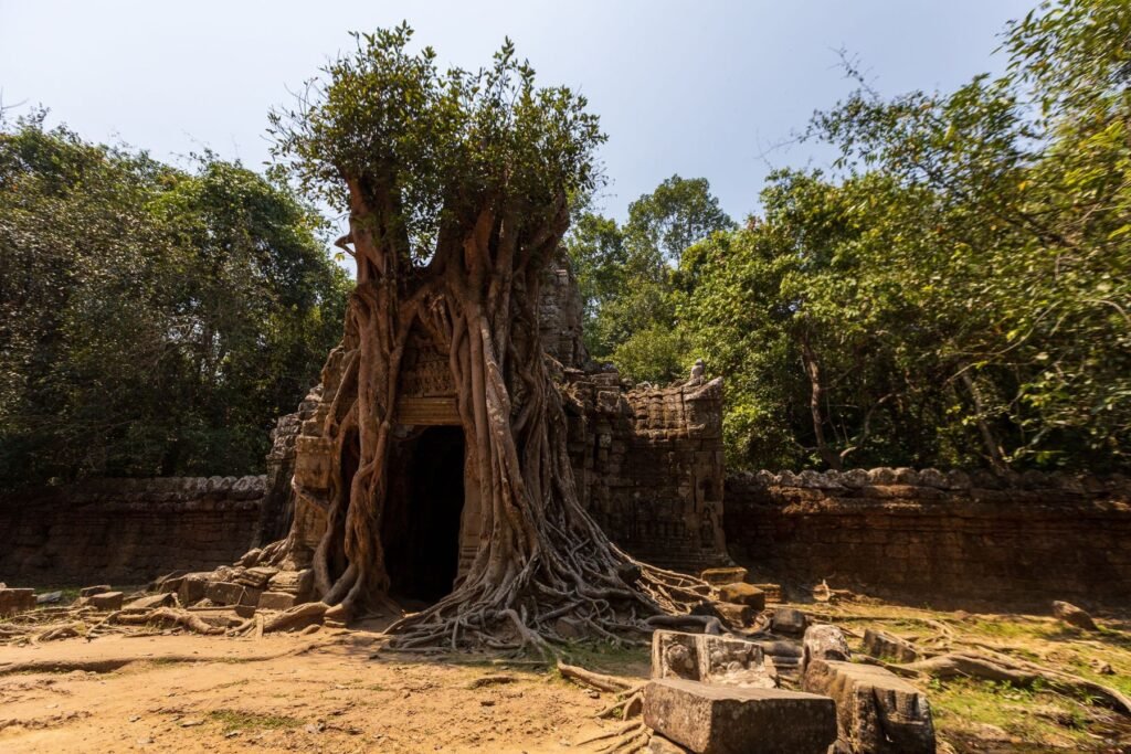 Tempel tussen de bomen bij Siem Reap