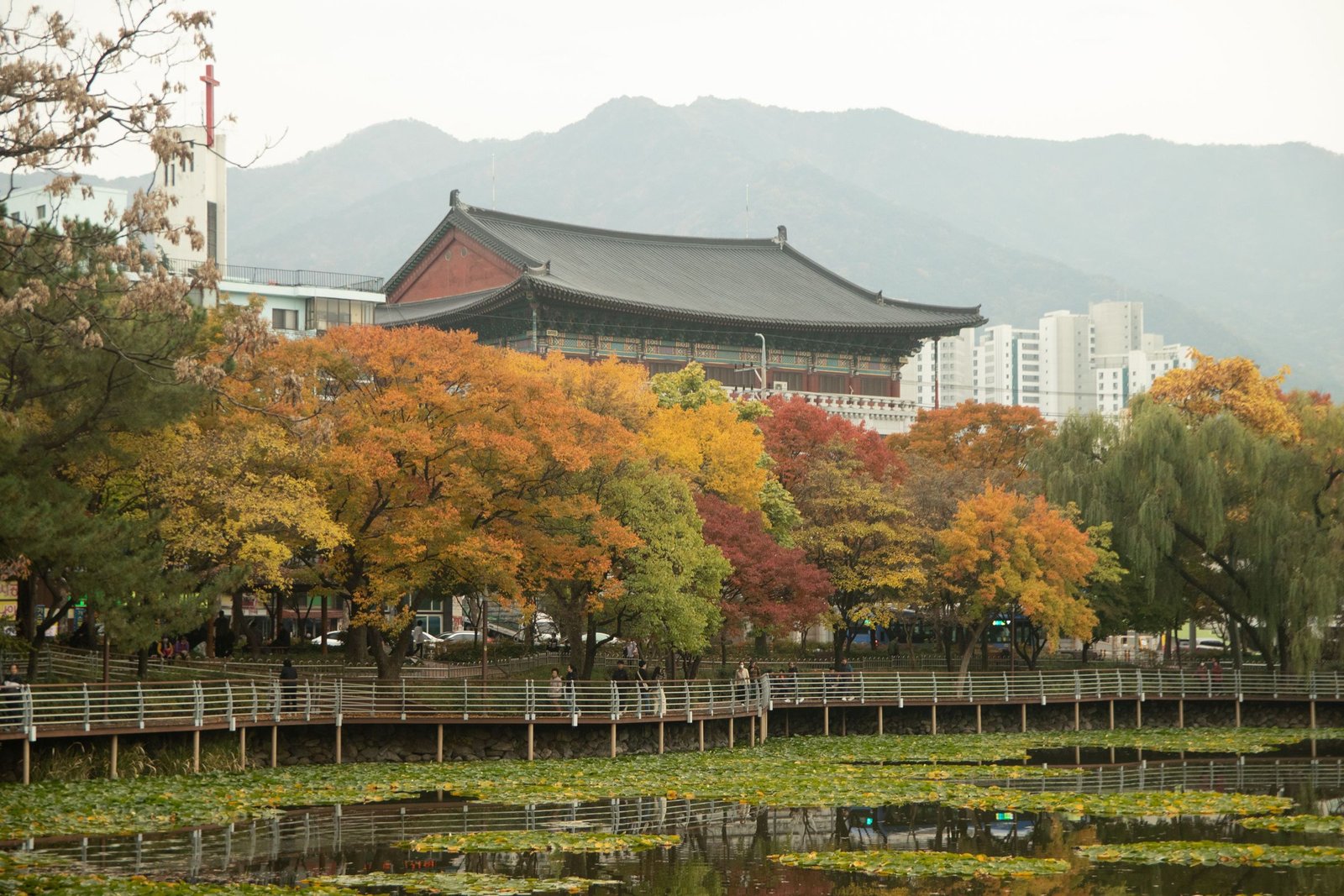 Beste reistijd Zuid-Korea: kersenbloesem, herfstkleuren en het klimaat per maand