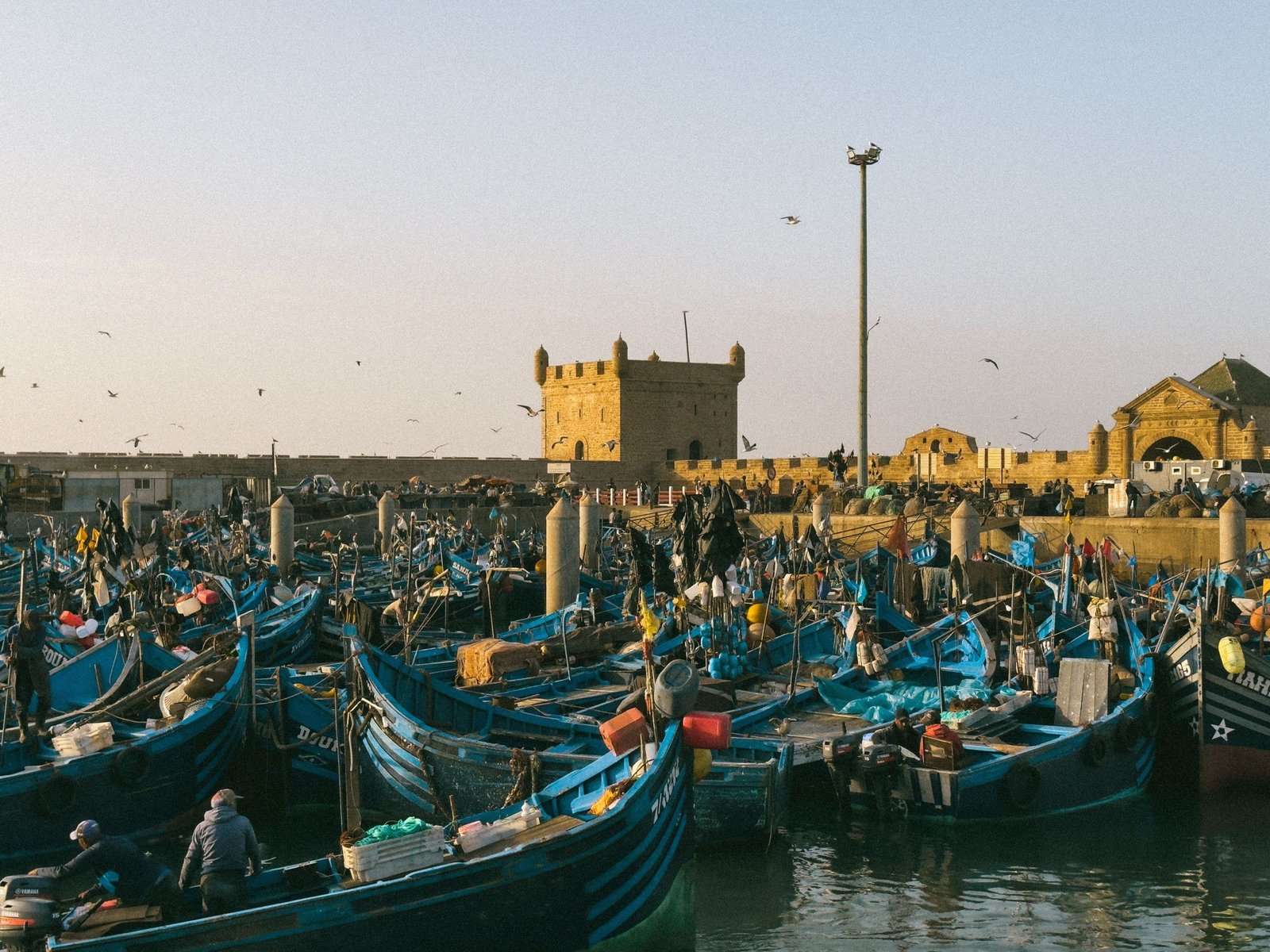 Blauwe vissersboten in de haven van Essaouira met de oude vestingmuren