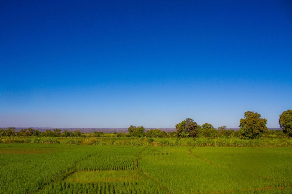Klein propellervliegtuig op een landingsbaan, zoals op binnenlandse vluchten in Madagaskar