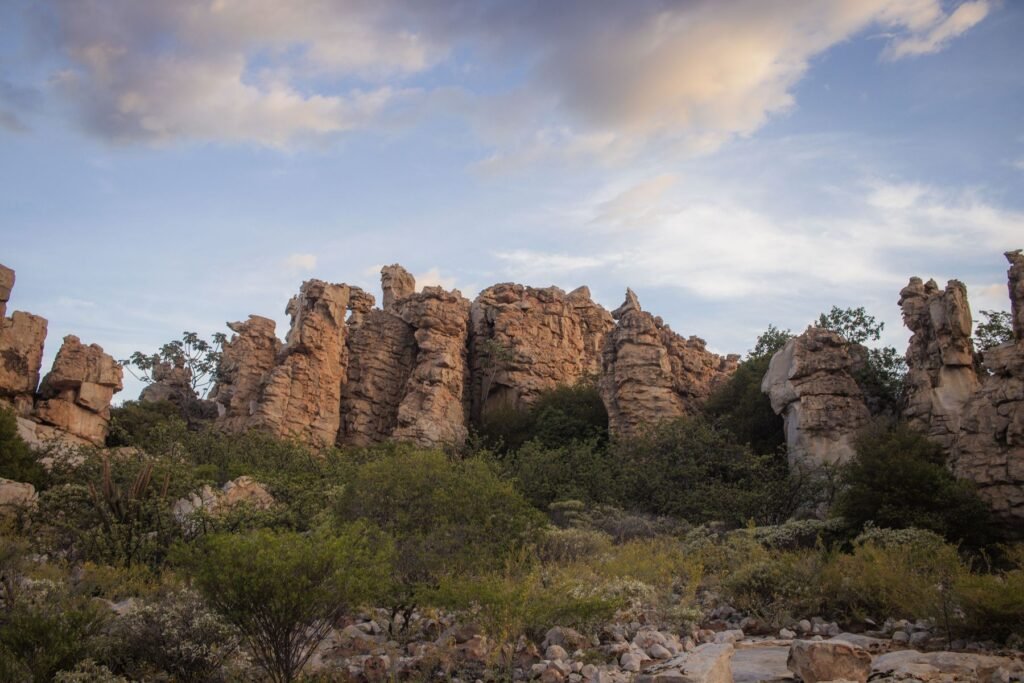Droge grasvlakte onder een blauwe lucht in het zuiden van Madagaskar
