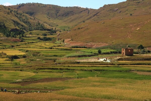 Groene vallei met rijstvelden in het hoogland van Madagaskar
