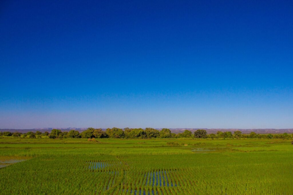 Donkere regenwolken boven rijstvelden in het hoogland van Madagaskar