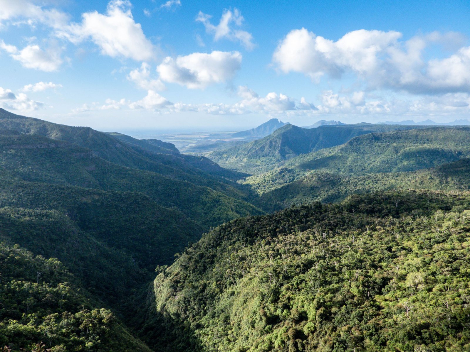 Uitzicht over de Black River Gorges op Mauritius