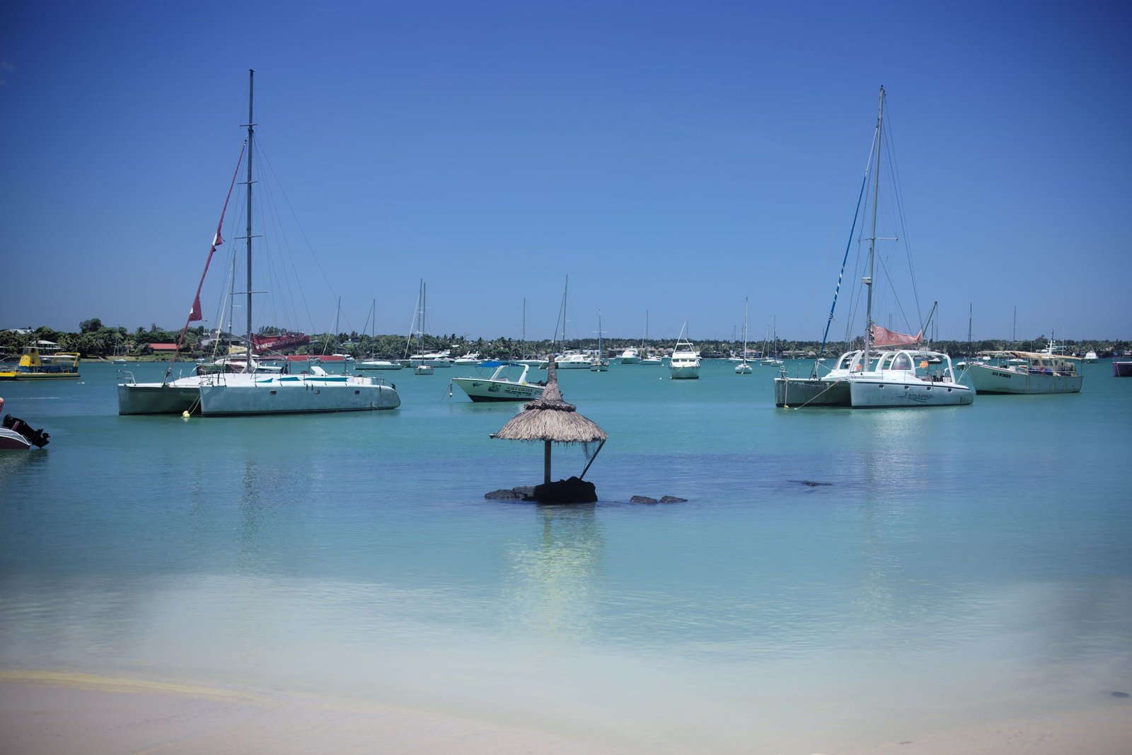 Catamarans en zeilboten in de baai van Grand Baie