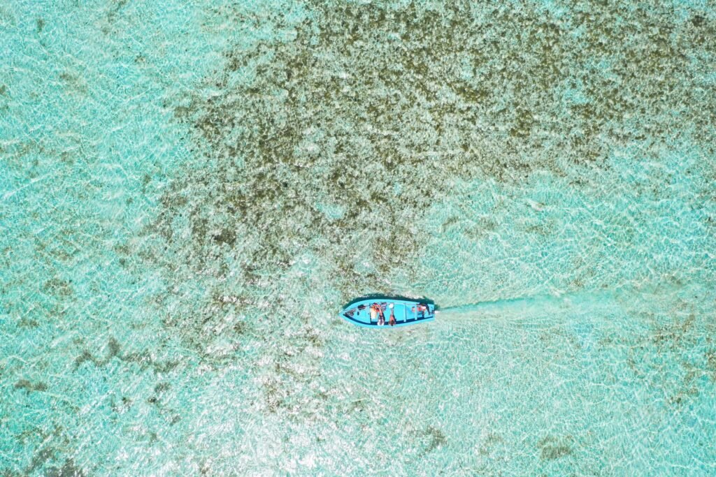 Koraal en tropische vissen in de lagune van de noordwestkust van Mauritius