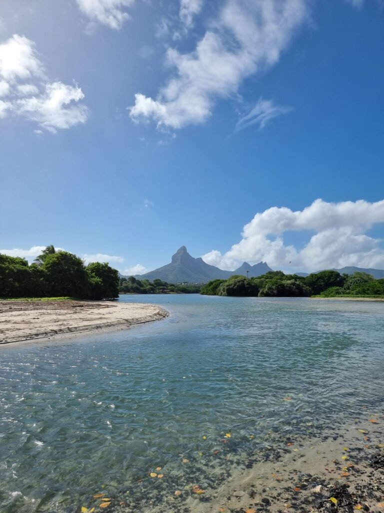 Een smalle weg tussen suikerrietvelden en bergen op Mauritius