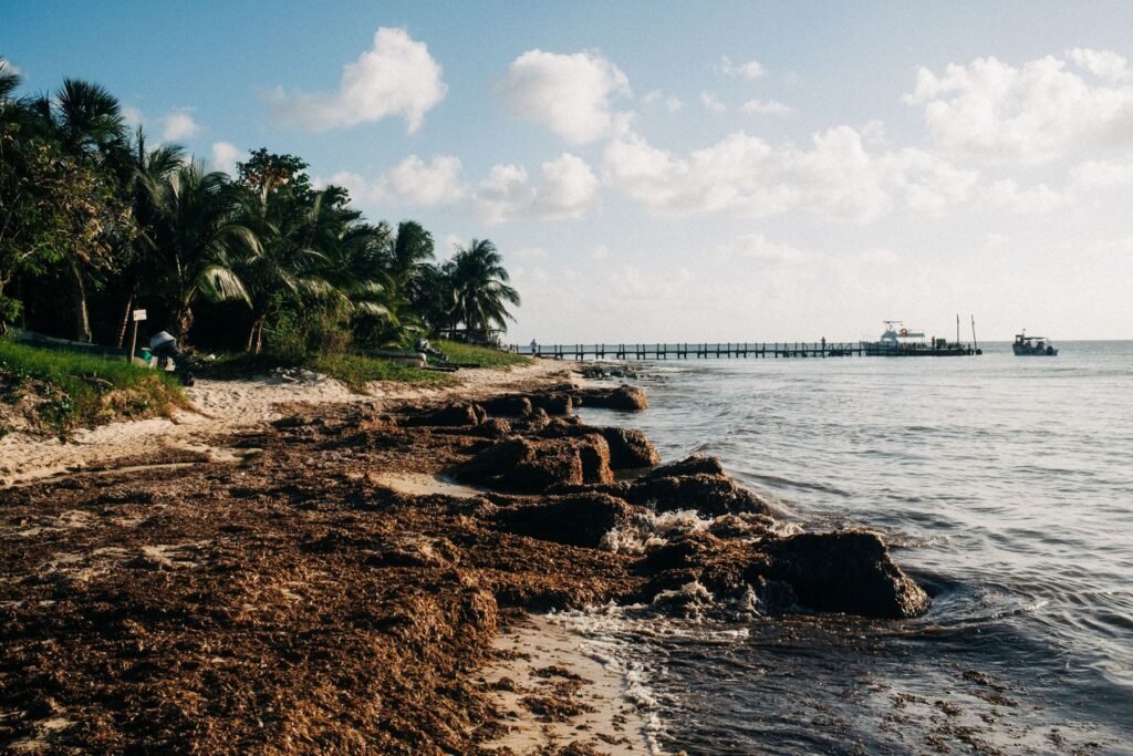 Strand met palmen in San Miguel de Cozumel