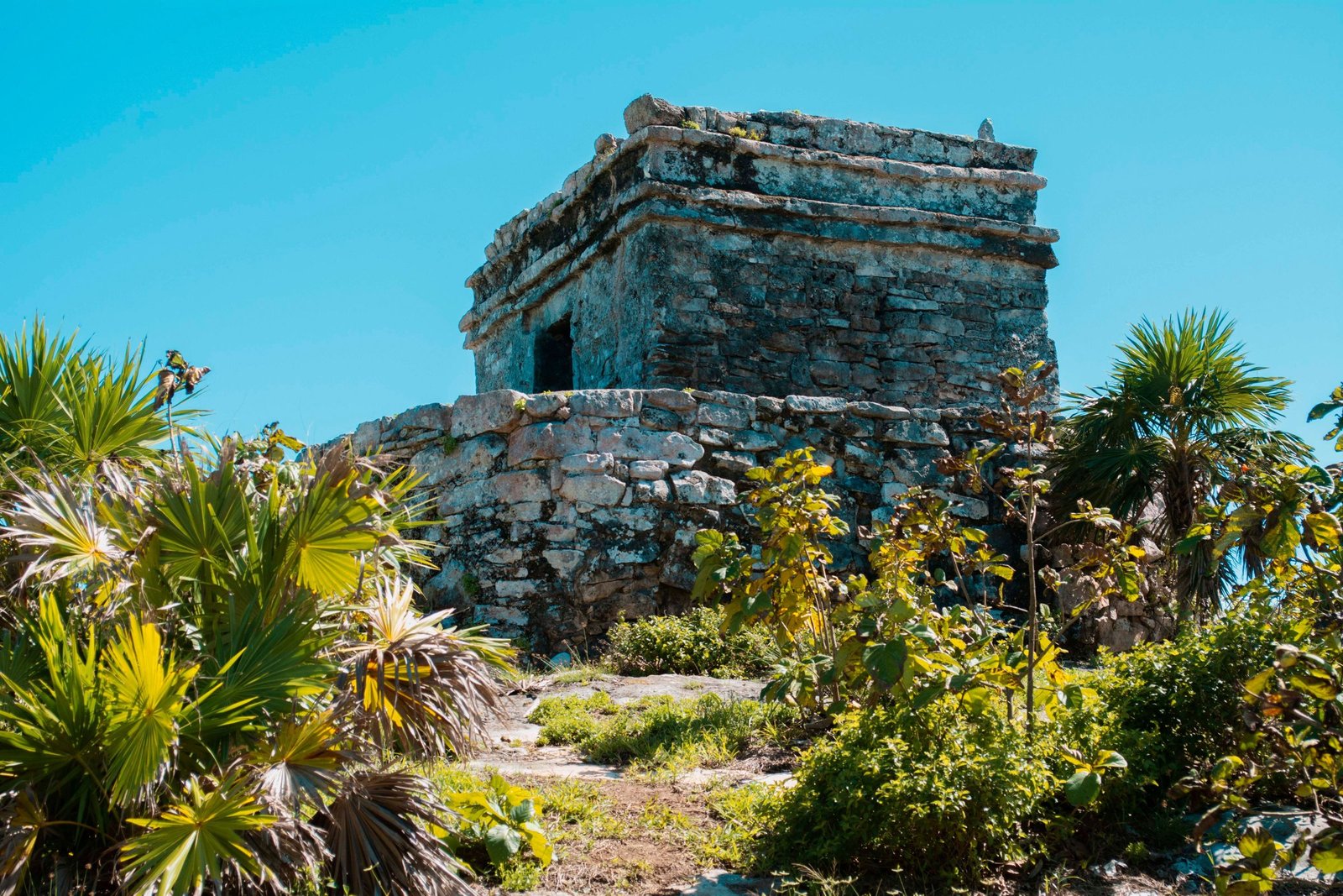 Maya-tempel tussen het groen in Tulum