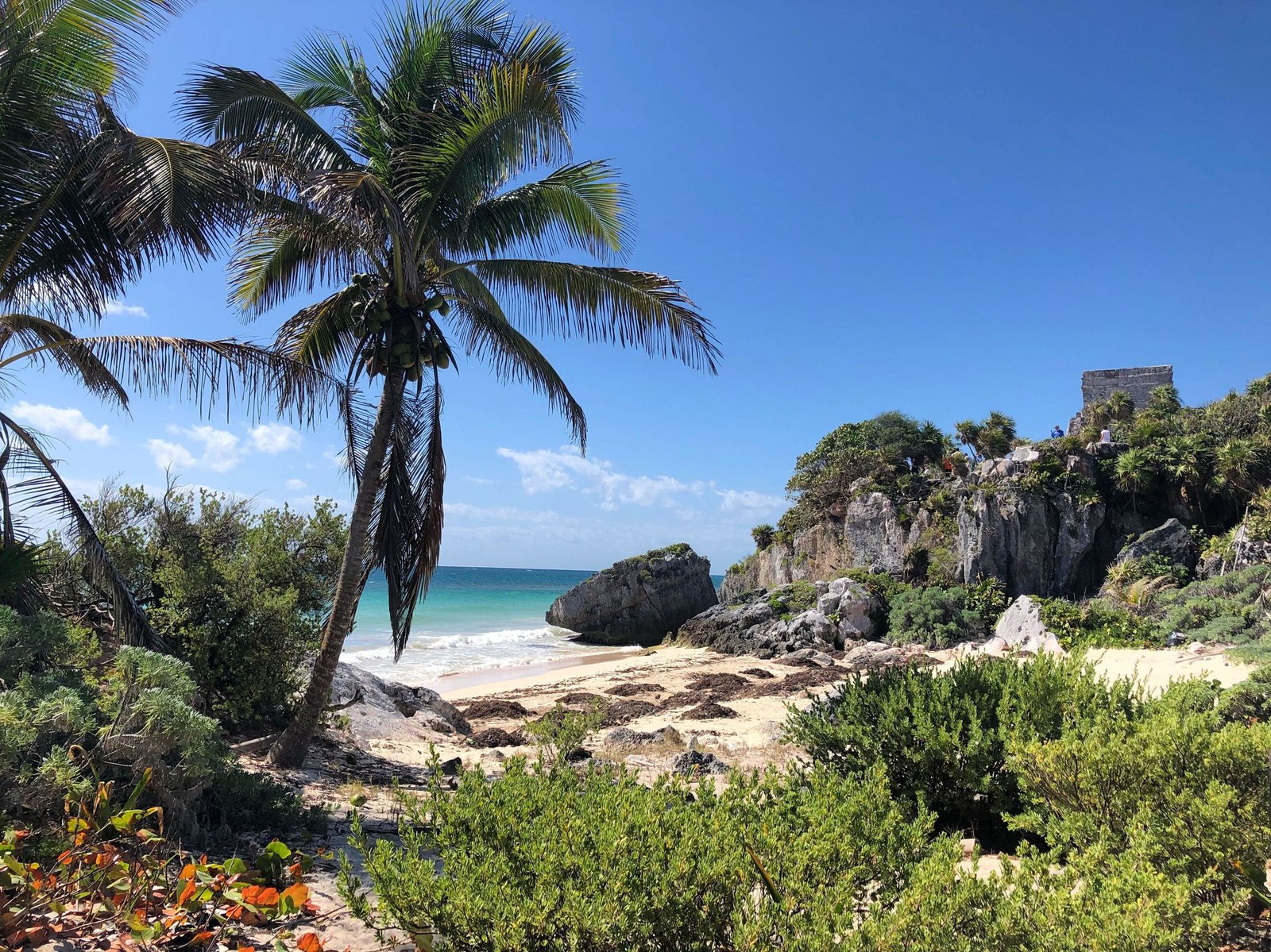 Palmboom en strand onder de ruïnes van Tulum