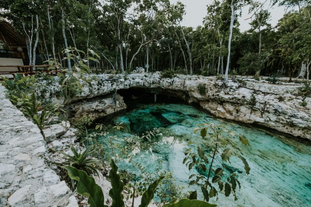 Open cenote tussen de bomen op Yucatán