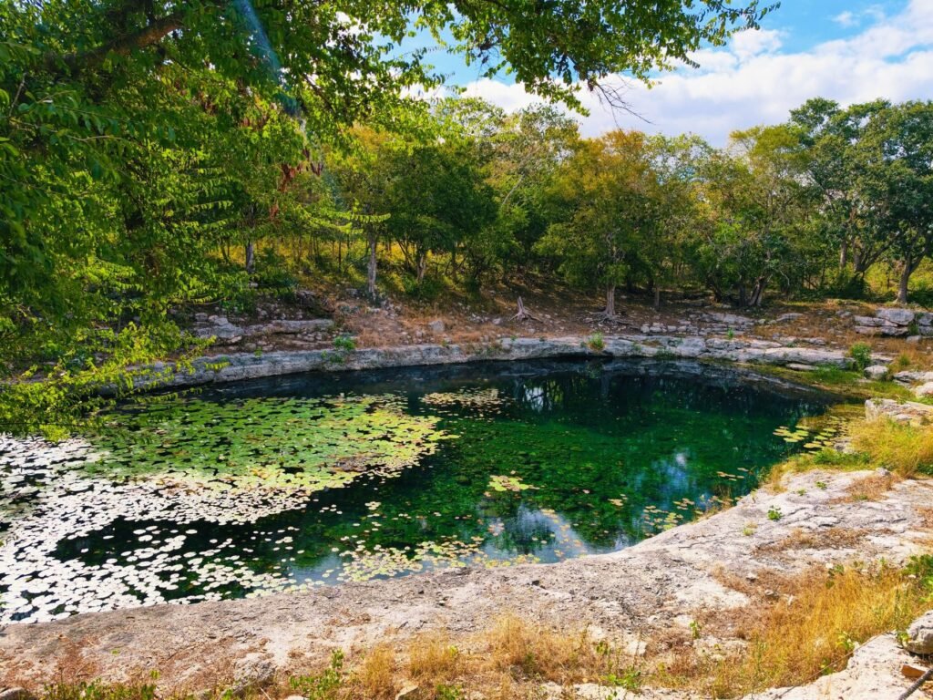 Cenote met waterlelies op Yucatán