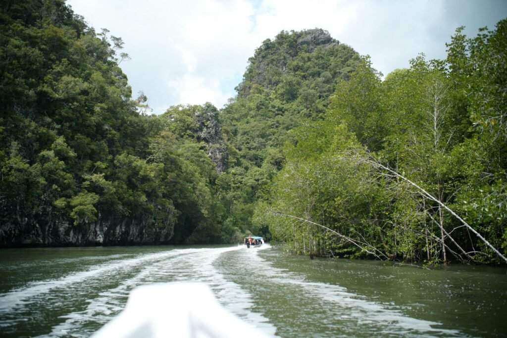 Boottocht door de mangroven van Langkawi