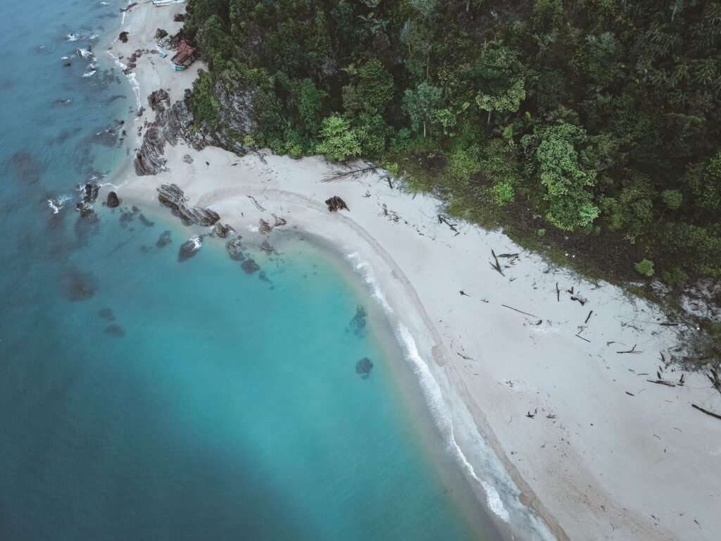 Strand en groen aan de oostkust van bovenaf