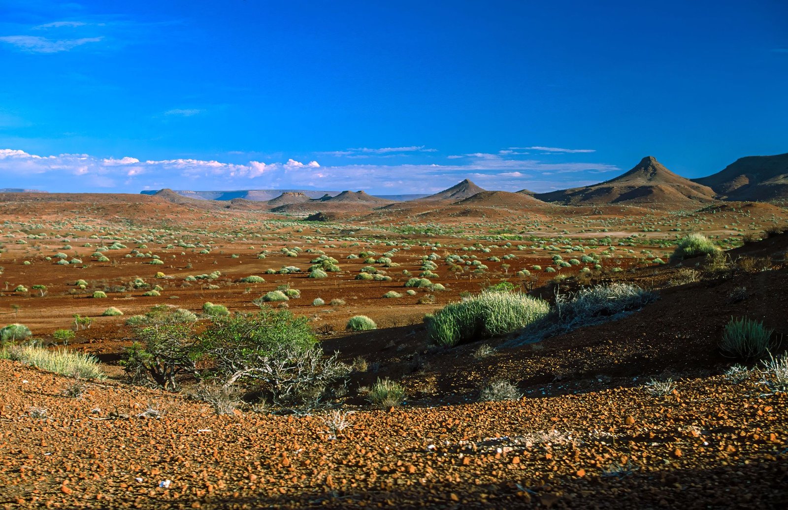 Het ruige landschap van Damaraland met tafelbergen