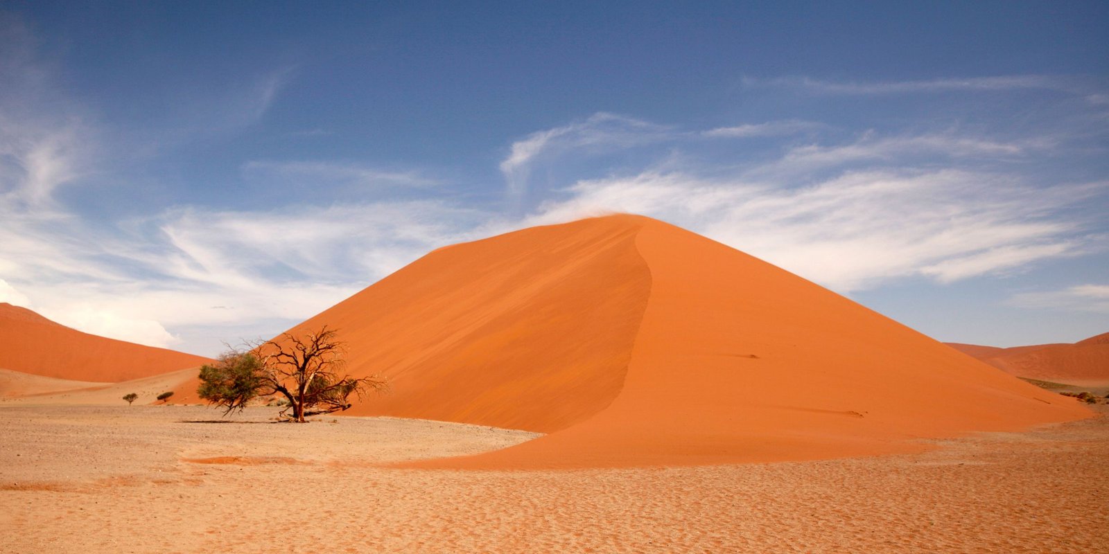 Rode duinen en een eenzame acacia in de Namibwoestijn