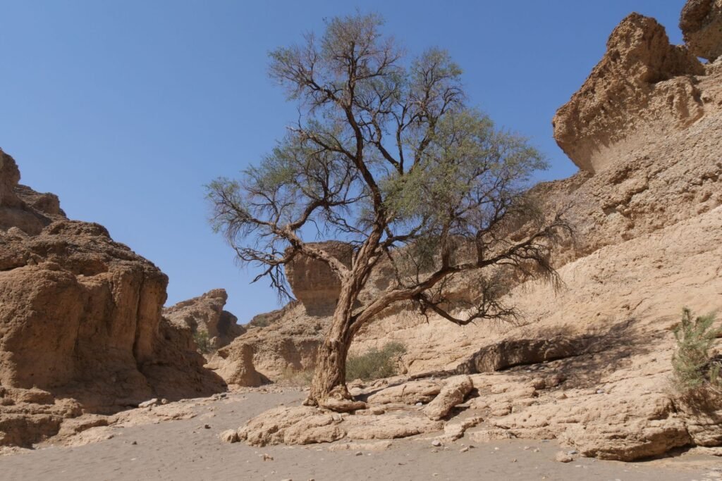 De smalle rotskloof van de Sesriem Canyon met zandbodem