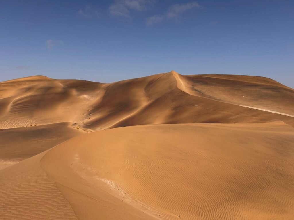 Sporen in de zandduinen van de Namibwoestijn bij Swakopmund