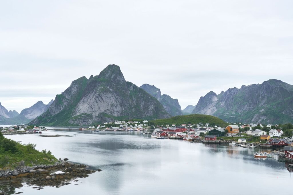 Reine aan het water