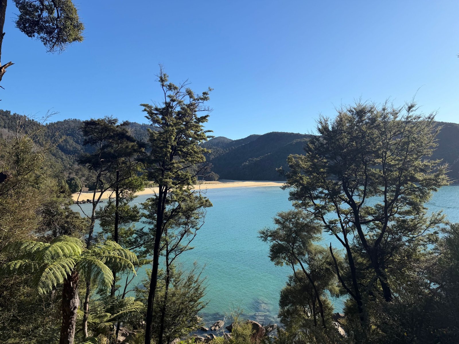 Baai in Abel Tasman National Park