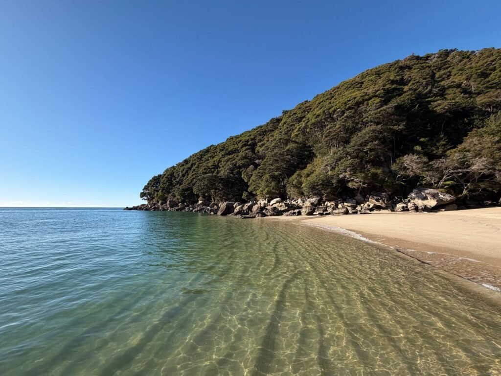 Helder water en strand in Abel Tasman