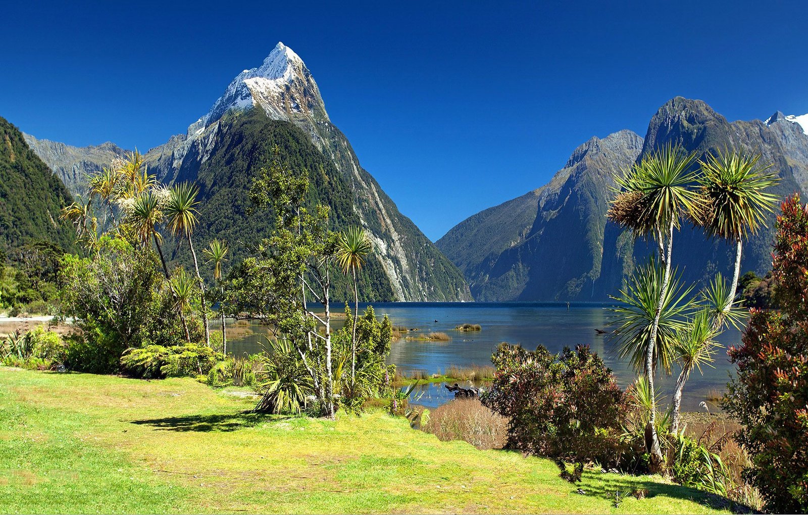 Mitre Peak in Milford Sound